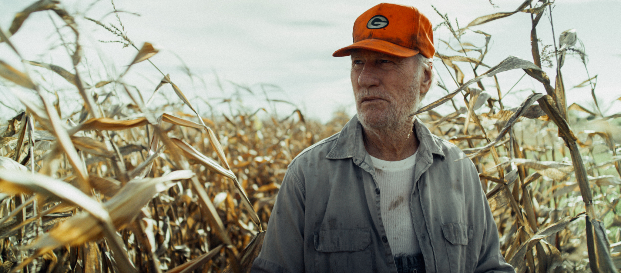 An older man with a weathered face stands in a dry cornfield, wearing an orange cap and grey jacket